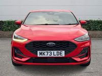 Used Ford Focus ST-Line 125 HP (91 kW) 2025 Hatchback