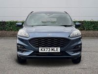 Used Ford Kuga ST-Line 150 HP (110 kW) 2023 Blue SUV