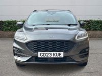 Used Ford Kuga ST-Line 150 HP (110 kW) 2023 SUV
