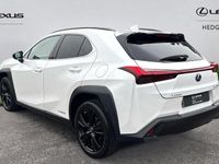 Used Lexus UX 250h 184 HP (135 kW) 2024 SUV