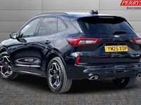 Used Ford Kuga ST-Line X 179 HP (131 kW) 2026 SUV