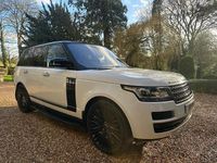 Used Land Rover Range Rover Vogue SE 339 HP (249 kW) 2016 White SUV