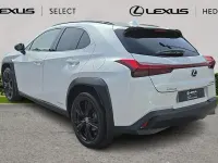 Used Lexus UX 184 HP (135 kW) 2024 SUV