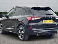 Used Ford Kuga ST-Line X 190 HP (139 kW) 2023 Black SUV
