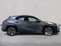 Used Lexus UX 250h 2023 Grey SUV