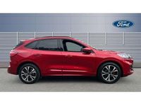 Used Ford Kuga ST-Line X 150 HP (110 kW) 2023 Red SUV