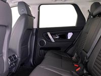 Gebraucht Land Rover Discovery Sport S 204 PS (150 kW) 2026 Grau SUV