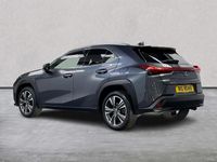 Used Lexus UX 250h 2023 Grey SUV