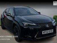 Used Lexus UX 250h 184 HP (135 kW) 2024 SUV