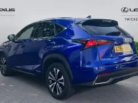 Used Lexus NX300h Sport Line 197 HP (144 kW) 2019 SUV
