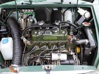 Used Austin Mini 72 HP (52 kW) 1963 Green