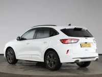 Used Ford Kuga ST-Line 190 HP (139 kW) 2024 White SUV