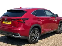 Used Lexus NX300h Luxury Line 194 HP (142 kW) 2018 Red SUV