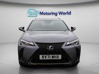 Used Lexus UX Sport Line 184 HP (135 kW) 2021 Grey SUV