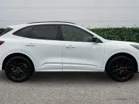 Used Ford Kuga ST-Line X 242 HP (177 kW) 2025 White SUV