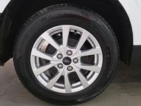 Usado Ford Transit Limited 125 CV (91 kW) 2025 Blanco Van