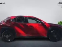 Used Lexus UX 250h 184 HP (135 kW) 2024 SUV