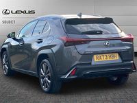 Used Lexus UX 250h Sport Design Packet 184 HP (135 kW) 2024 Grey SUV