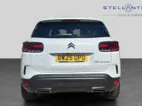Used Citroën C5 Aircross 134 HP (98 kW) 2025 White SUV