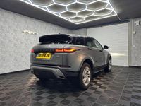 Used Land Rover Range Rover evoque R-Dynamic 2019 Grey SUV