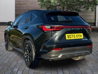 Used Lexus NX450h+ Sport Line 2025 SUV