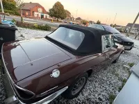 Used Triumph Stag 1977 Brown Cabriolet