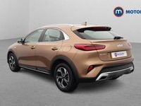 Used Kia XCeed 120 HP (88 kW) 2022 Bronze SUV