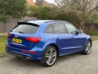 Used Audi SQ5 2016 Blue SUV