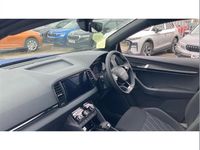 New Skoda Karoq SportLine 147 HP (108 kW) 2025 Other SUV