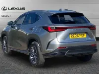 Usado Lexus NX350h 197 CV (144 kW) 2026 Gris SUV