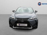 Used Lexus UX 250h 184 HP (135 kW) 2024 SUV