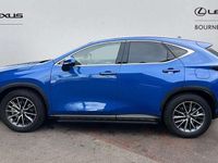 Used Lexus NX450h+ 304 HP (223 kW) 2025 Blue SUV