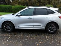 Used Ford Kuga ST-Line 150 HP (110 kW) 2020 Silver SUV