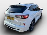 Used Ford Kuga ST-Line X 120 HP (88 kW) 2021 White SUV