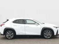 Used Lexus UX 250h Sport Line 2021 White SUV
