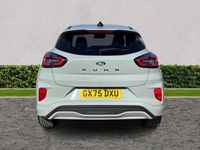 Used Ford Puma ST-Line X 125 HP (91 kW) 2025 Cactus grey SUV
