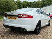 Used Jaguar XF Luxury 200 HP (147 kW) 2014 White Sedan