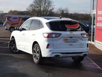 Used Ford Kuga ST-Line 147 HP (108 kW) 2020 White SUV