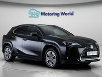 Used Lexus UX 150 kW (204 HP) 2022 SUV