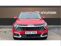 Used Kia Sportage 206 HP (151 kW) 2025 Red SUV