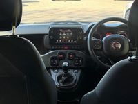 Usado Fiat Panda S 70 HP (51 kW) 2024 Verde Citadino