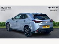 Used Lexus UX 250h Sport Line 2024 Silver SUV