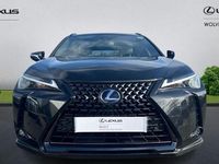 Used Lexus UX 250h 184 HP (135 kW) 2024 SUV