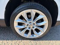 Used Skoda Karoq SE L 147 HP (108 kW) 2020 White SUV