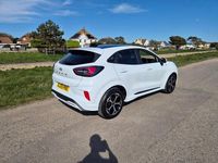New Ford Puma ST-Line 2025 White SUV