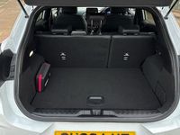 Used Ford Puma ST-Line X 125 HP (91 kW) 2023 White SUV