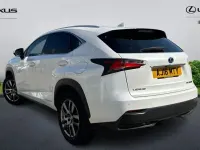 Used Lexus NX300h Luxury Line 197 HP (144 kW) 2017 SUV