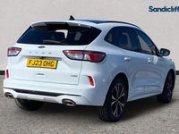 Used Ford Kuga ST-Line X 190 HP (139 kW) 2023 White SUV