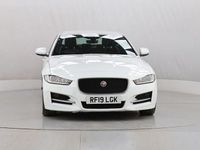 Used Jaguar XE R-Sport 200 HP (147 kW) 2019 White Sedan