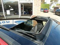 Used Ford Kuga ST-Line X 225 HP (165 kW) 2023 Red SUV